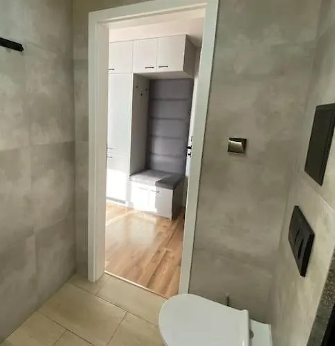 K&g סוסנוביץ'