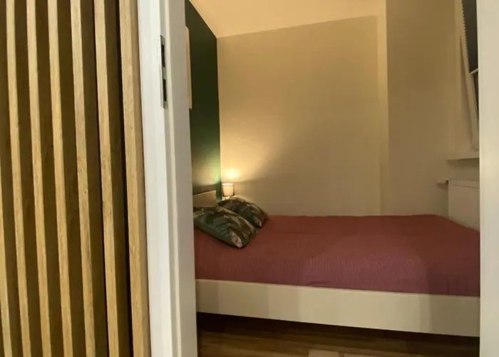 K&g סוסנוביץ'